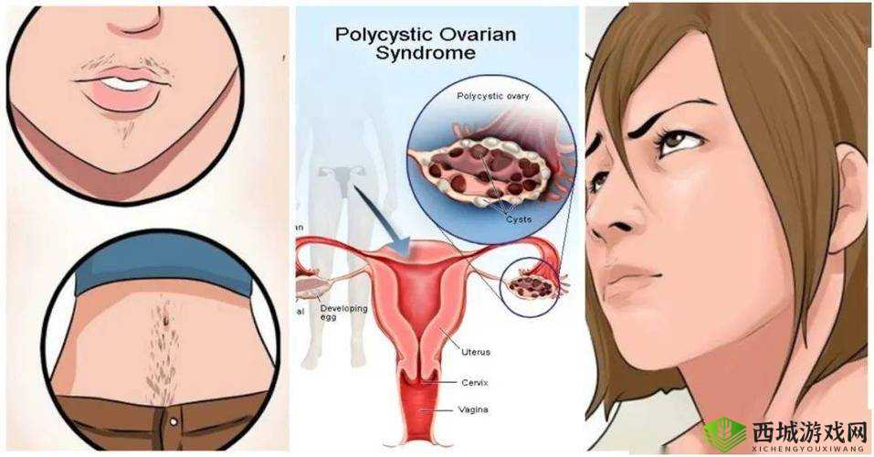 女人丰满多毛大阴唇的独特魅力与风情