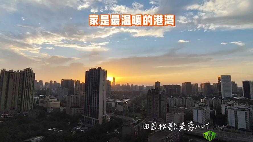 y1uan 大家庭的魅力:充满温馨与欢乐的温暖港湾