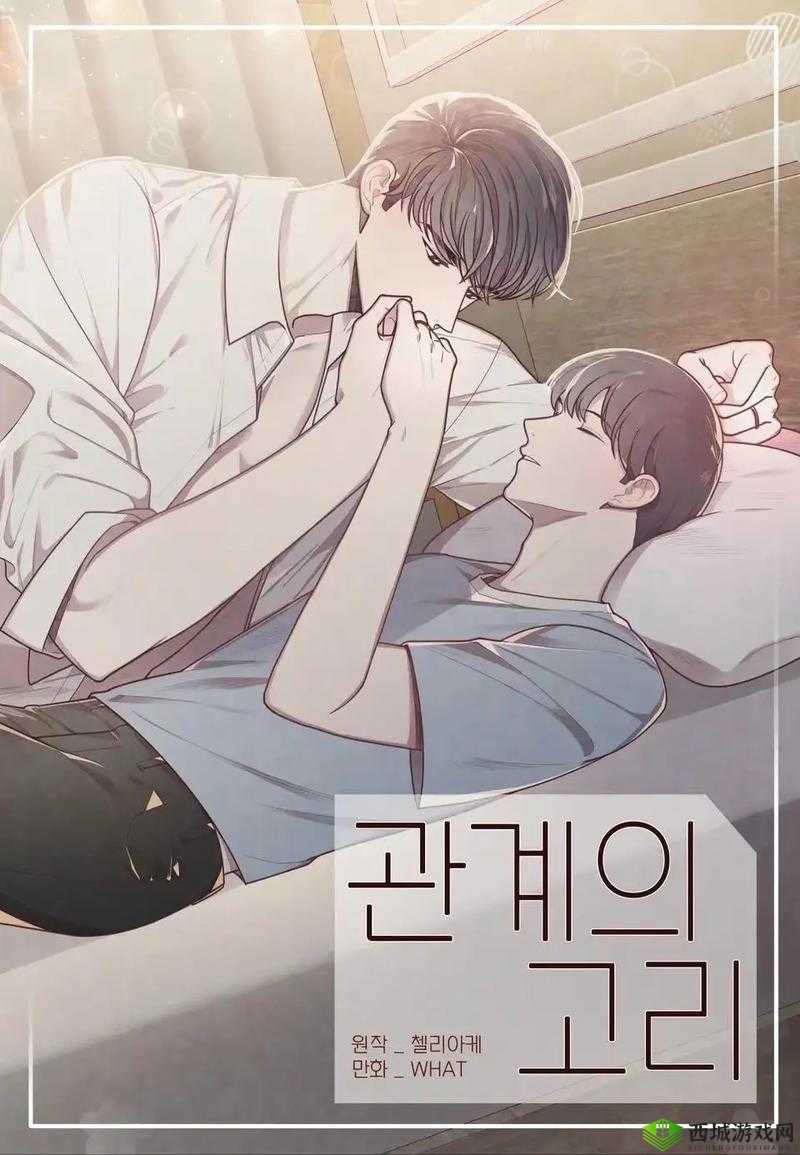 车速超高的双男主小说:激情狂飙中的命运交织与羁绊