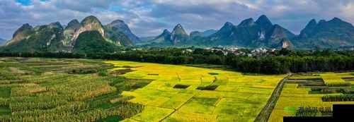 芳草萋萋 8521:关于它的详细介绍与独特魅力展现