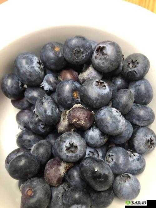 女生啊你 tm 别了蓝莓：别再这样对我了好不好呀