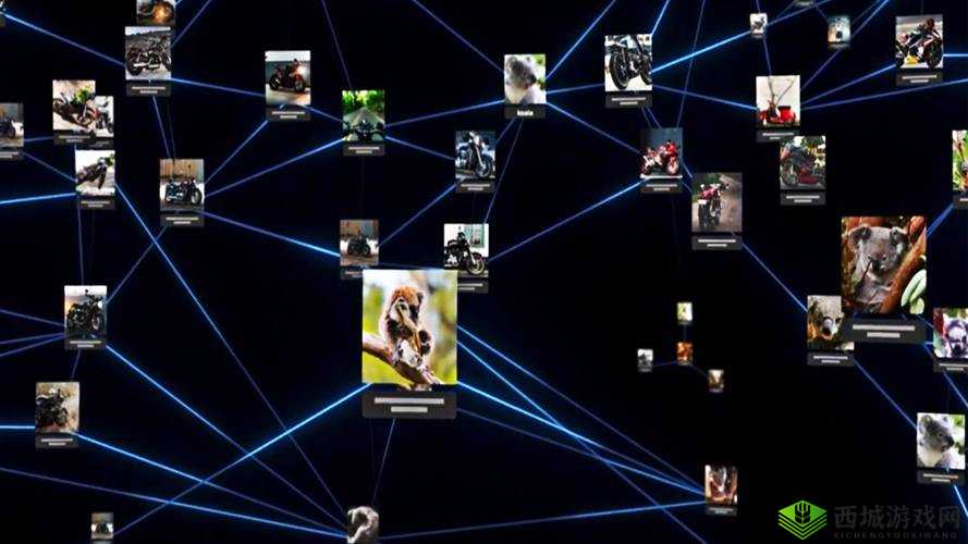 探索 HJ54C1 海角论坛：揭示未知的网络世界