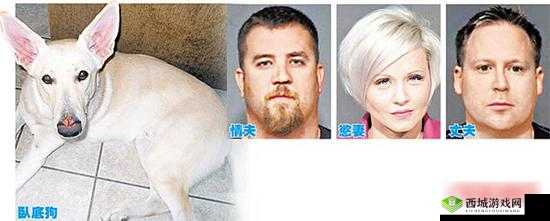 人兽交：挑战伦理与道德的禁忌行为