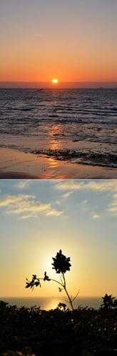 钶钶钶钶钶钶钶免：一个充满独特魅力的存在