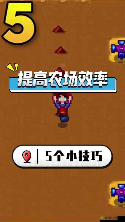 人 CZ000ZO0O 农场怎么玩：教你轻松打造属于自己的农场