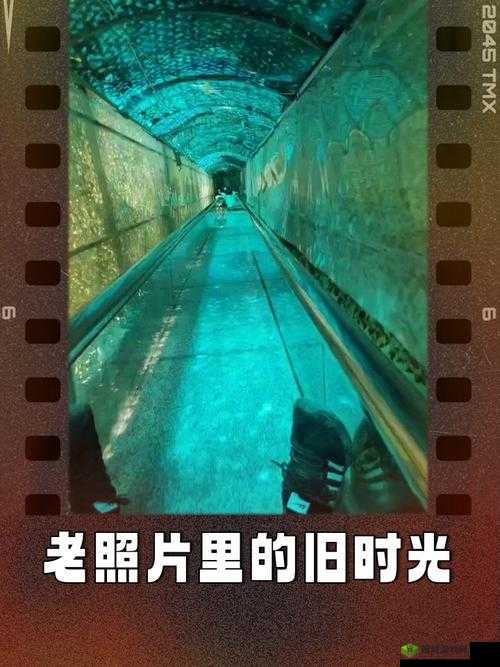 经典 97 视频:重温那段独特的影像时光