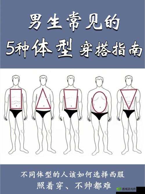 男性如何选择适合自己的阳具尺寸：科学建议与个人需求的平衡