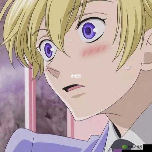 ACCA 少女 SDANVI 大学：这里是梦想开始的地方