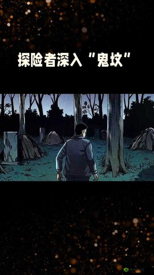 神秘视频 5 个路径之探索发现之旅