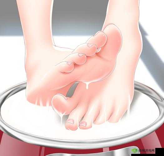 恋足漫画之独特魅力与精彩呈现