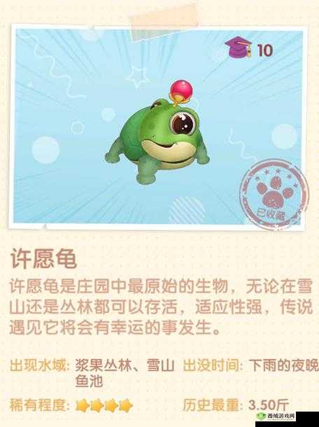 摩尔庄园手游许愿龟,神秘与幸运的化身