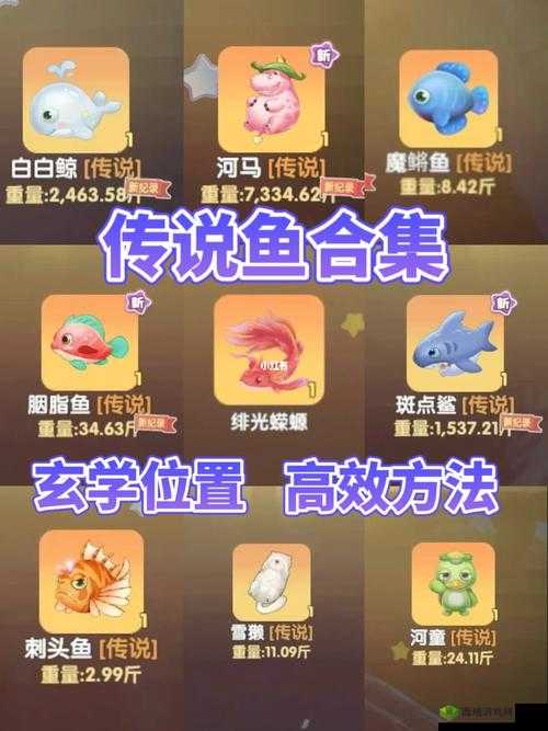 摩尔庄园手游幻彩鱼垂钓指南，探索与捕获的奥秘