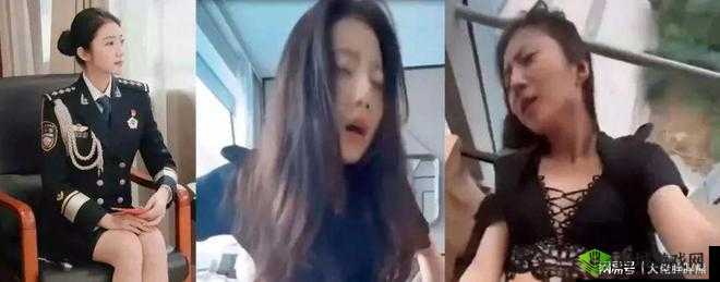 张津瑜吕知樾三部曲是什么之背后真相深度剖析