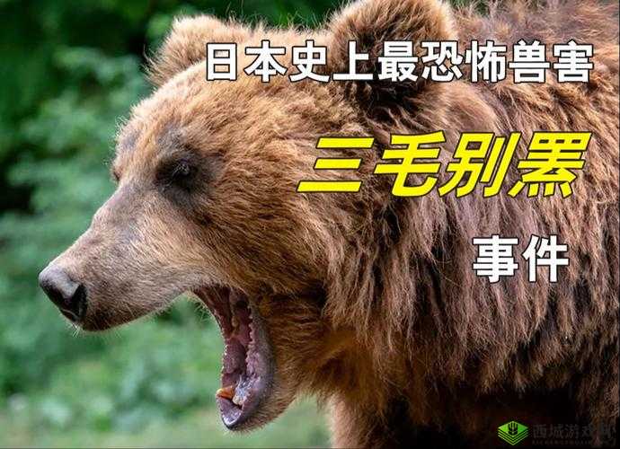 ZOOMSERVO 兽被爆料日本频道全完全免费引发热议