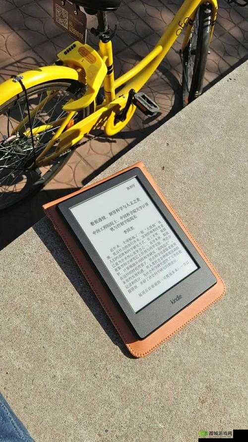 Luvsic手机密码的重要性与管理艺术