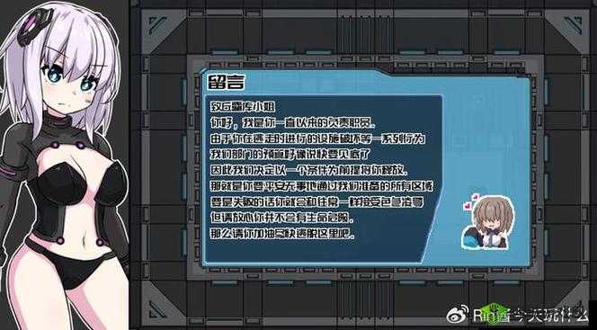 地下室 SMS 实验录:一场神秘的探索之旅