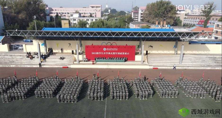 仙踪林贰佰信息网:一个充满神秘色彩与丰富内容的地方