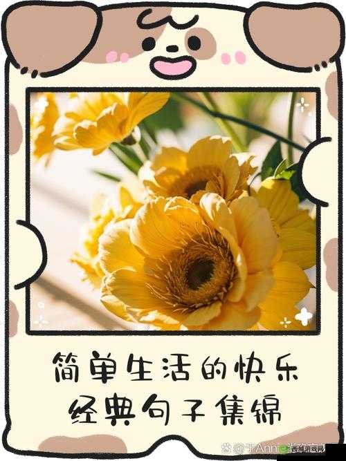 感受简单快乐,品味生活中的细微美好