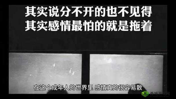 在xxxxxxxx成年人的世界里，他们用行动书写着属于自己的故事