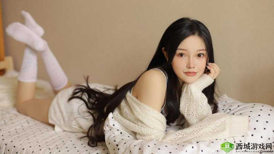 成品站 5668 入口：畅享丰富资源与便捷服务