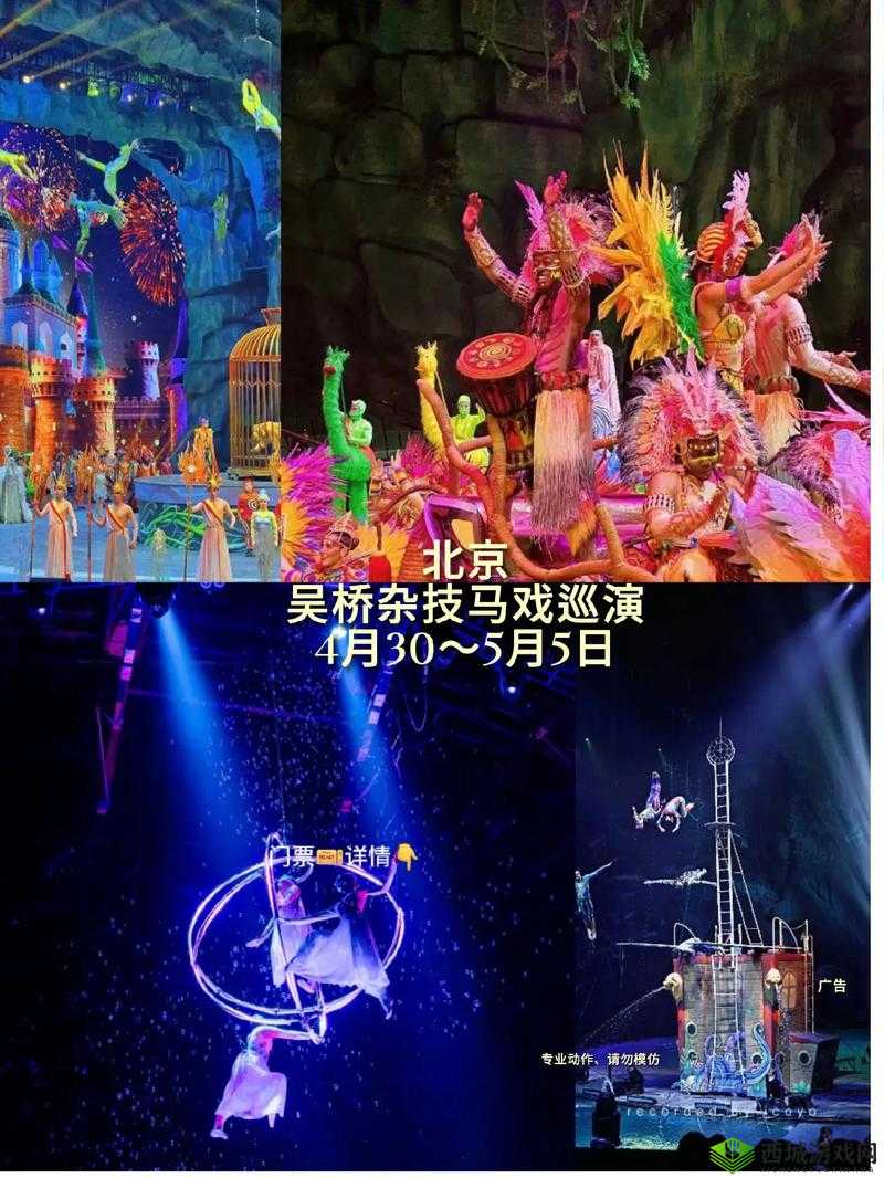 A级提视频 ：呈现精彩绝伦的视觉盛宴之旅