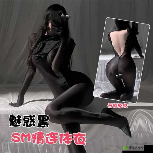 惩戒魅魔衣服类型介绍及其在资源管理中的重要性