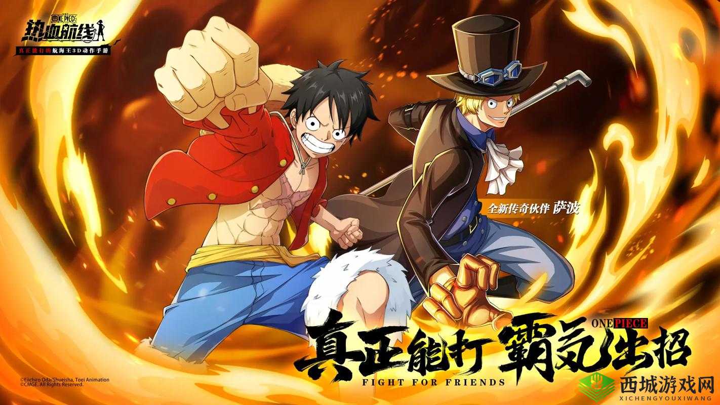 航海王热血航线，探索与挑战的无限魅力