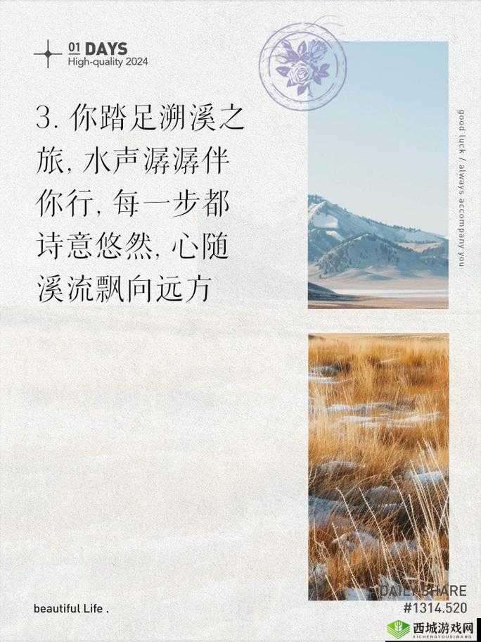 人间词话,纤尘不染的诗意之旅