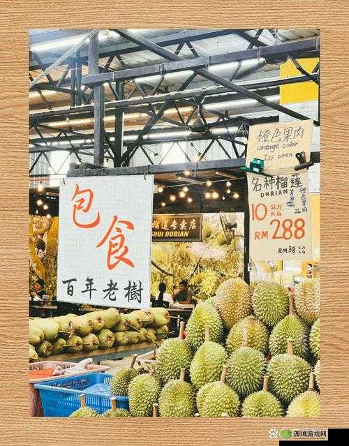 榴莲 APP:畅享独特美味的应用体验