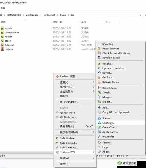 国外免费 SVN：详细介绍其特点及使用方法和优势