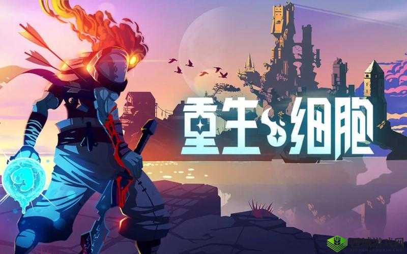 重生细胞，探索与挑战的奇妙之旅