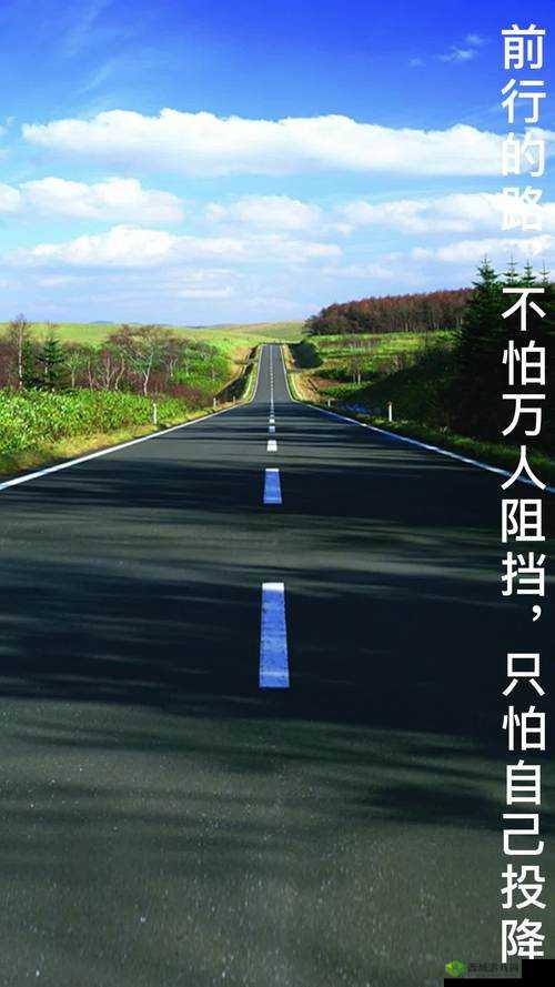 YW193CAN 牢记不迷 :指引清晰的前行方向