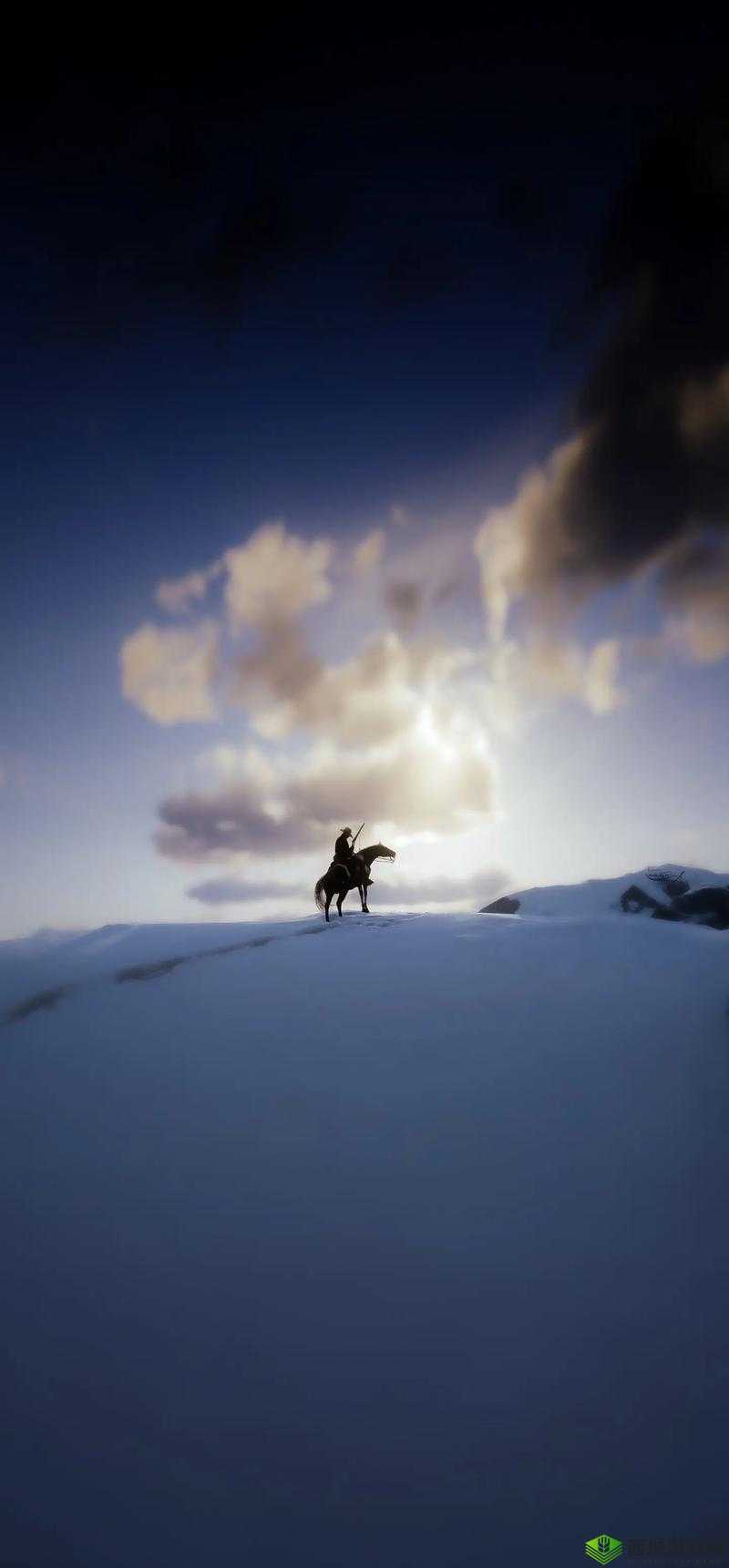 40 岁大妈荒野大镖客央视纪录:一段独特的荒野冒险之旅