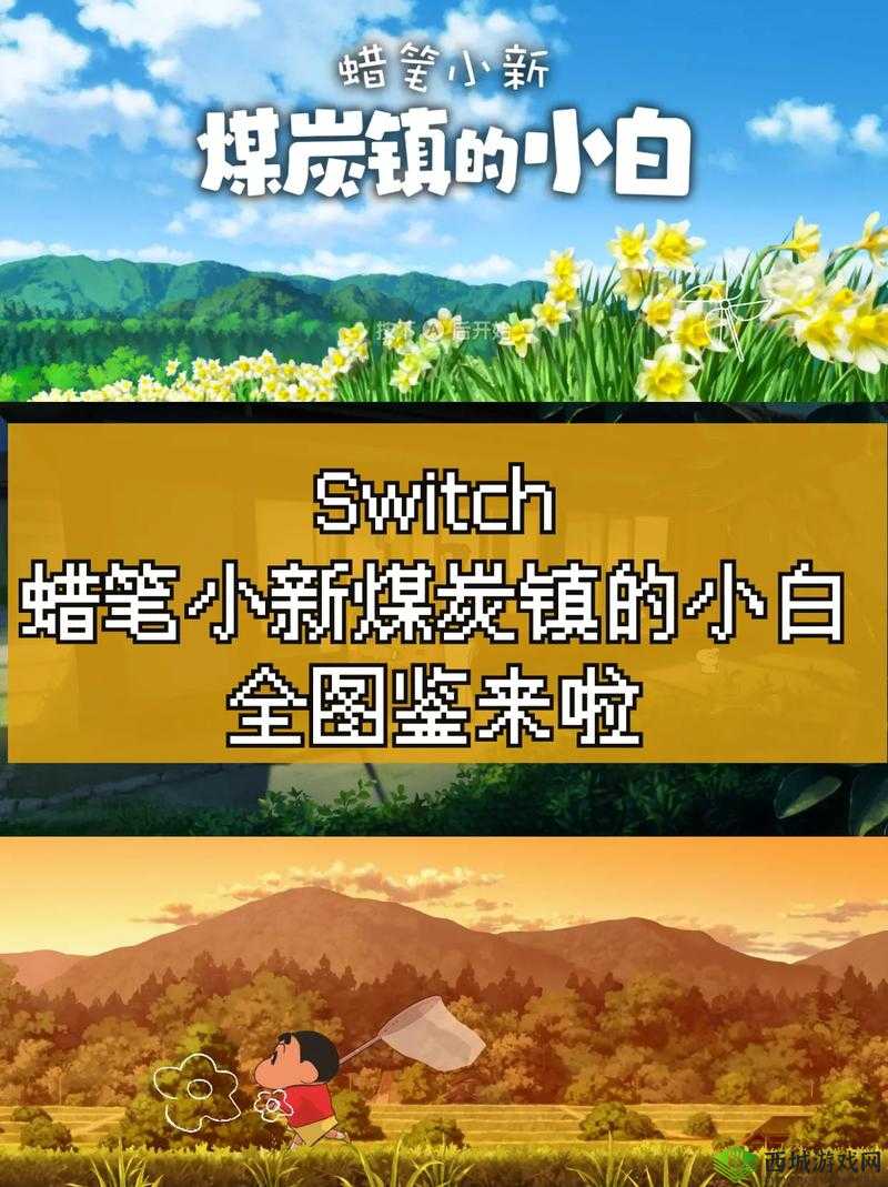 小白发布最新获取地名:探索新地域的奇妙之旅开启