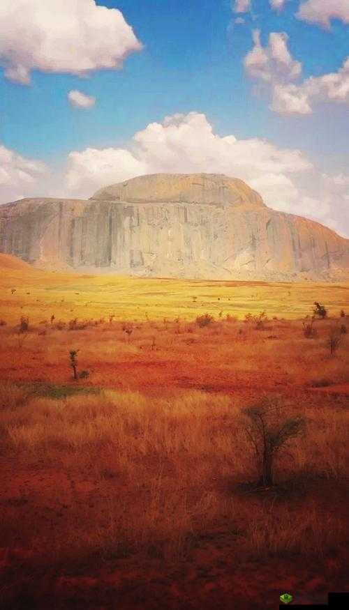 男 BWBWBWBW 开启一段神秘未知的非凡之旅