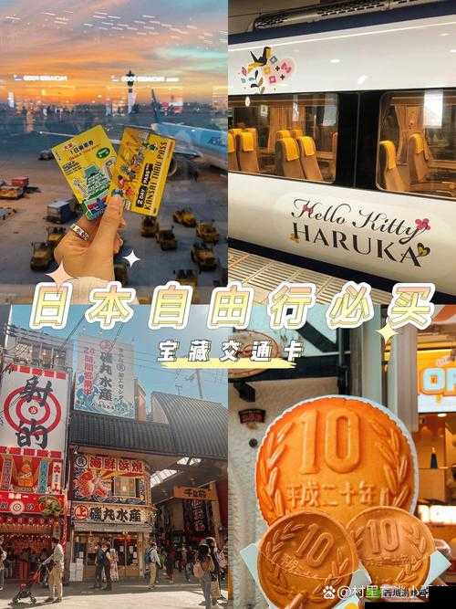 日本1卡2卡3卡区：探寻其独特魅力与特色所在