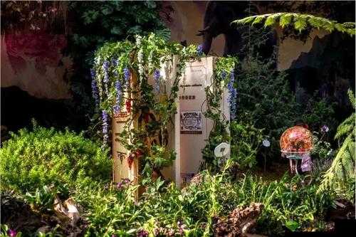 91 好色先生黄台:探索成人世界的神秘花园