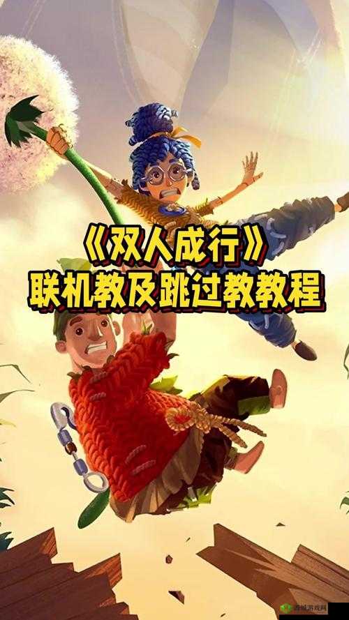 双人成行,资源管理与联机教程的深度解析
