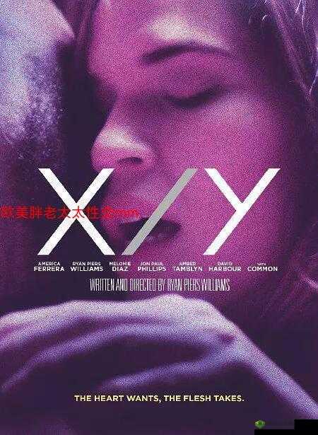 欧美肥老太 WBWBWBB:探寻别样人生