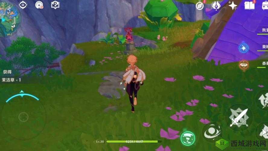 原神东北方无名小岛，探险与解谜的奇妙之旅