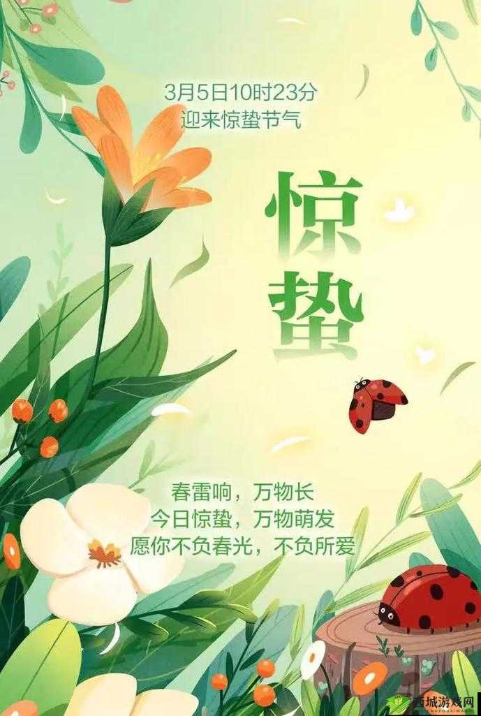 双人游戏 BY 春雨惊蛰:一场趣味与挑战并存的精彩互动之旅
