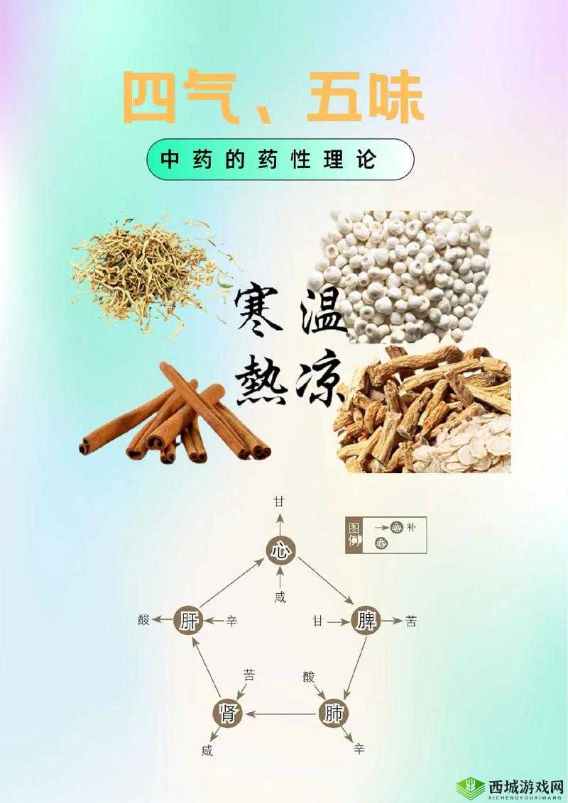 中医老王和小雨的祛毒医术之神奇疗法与独特传承