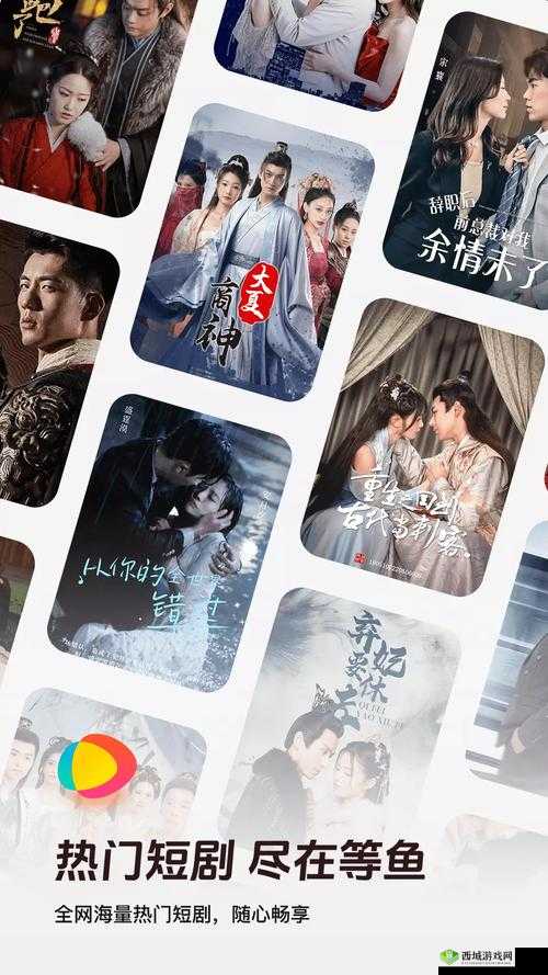 netflix 免费在线观看:海量影片随心畅享