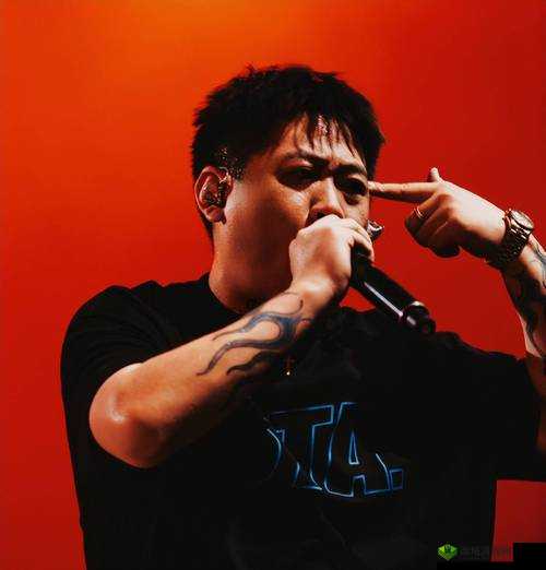 RAPPER 日本免费大全网站：日本 RAPPER 音乐一网打尽