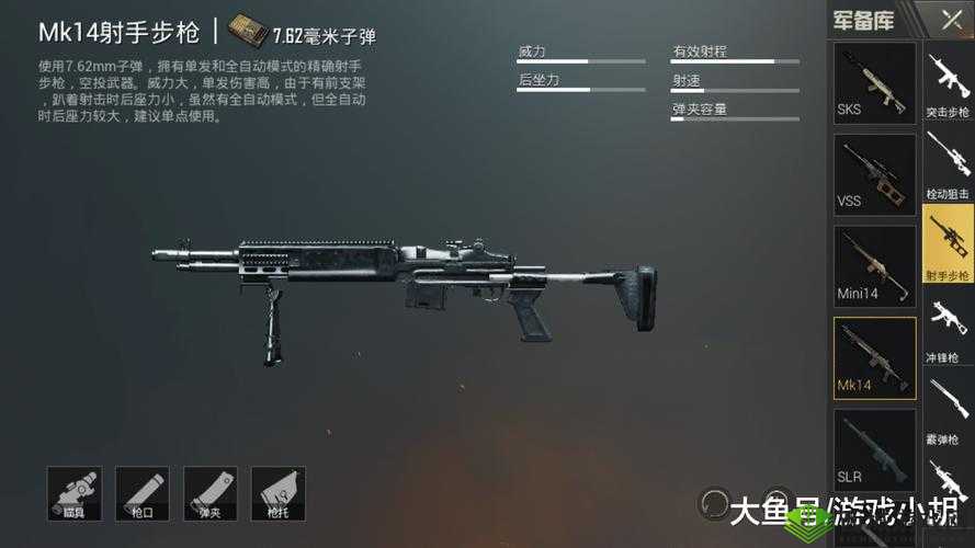 和平精英枪械Mk14介绍，策略、管理与最大化价值