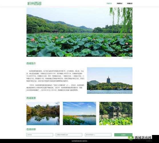 成品网站入口网页版怎样：深入了解其使用方法与优势