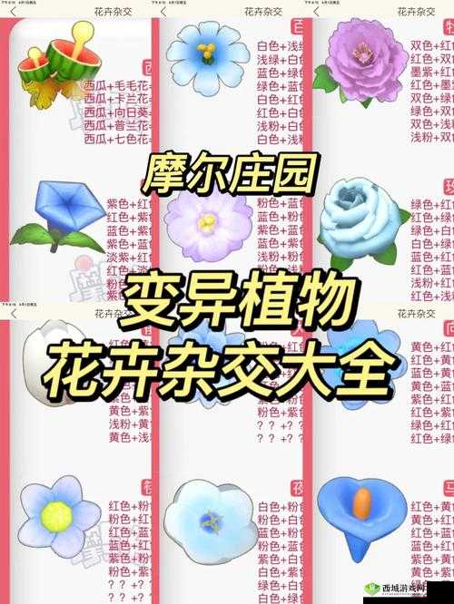 摩尔庄园实用快捷键全揭秘,助你畅游庄园更高效!