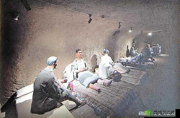 私人医院的特殊治疗:探寻未知的医学奇迹