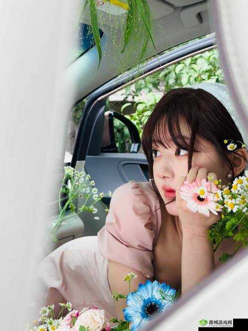 51 视频在线视频观看：高清流畅，免费畅享各类精彩视频