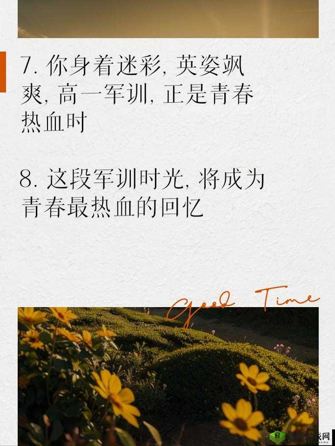 出格校园 POP11 高中:青春热血的校园故事